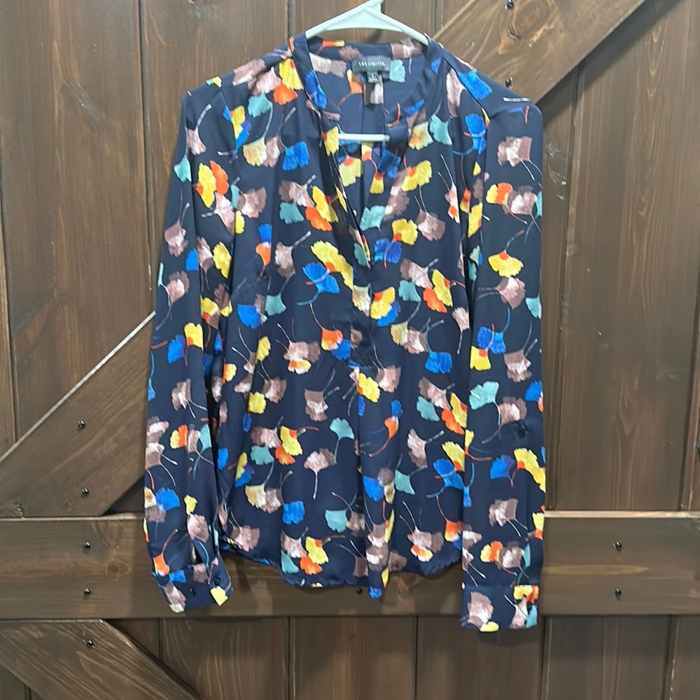 The Limited Multicolor Blouse